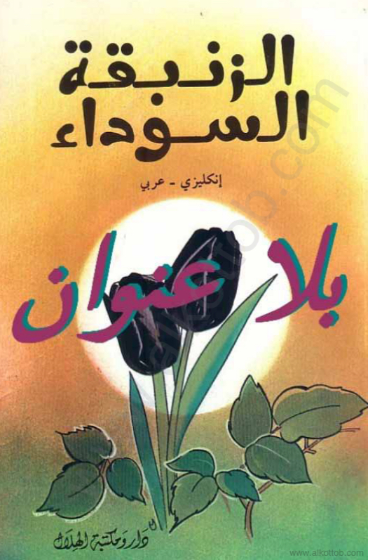 Book Cover
